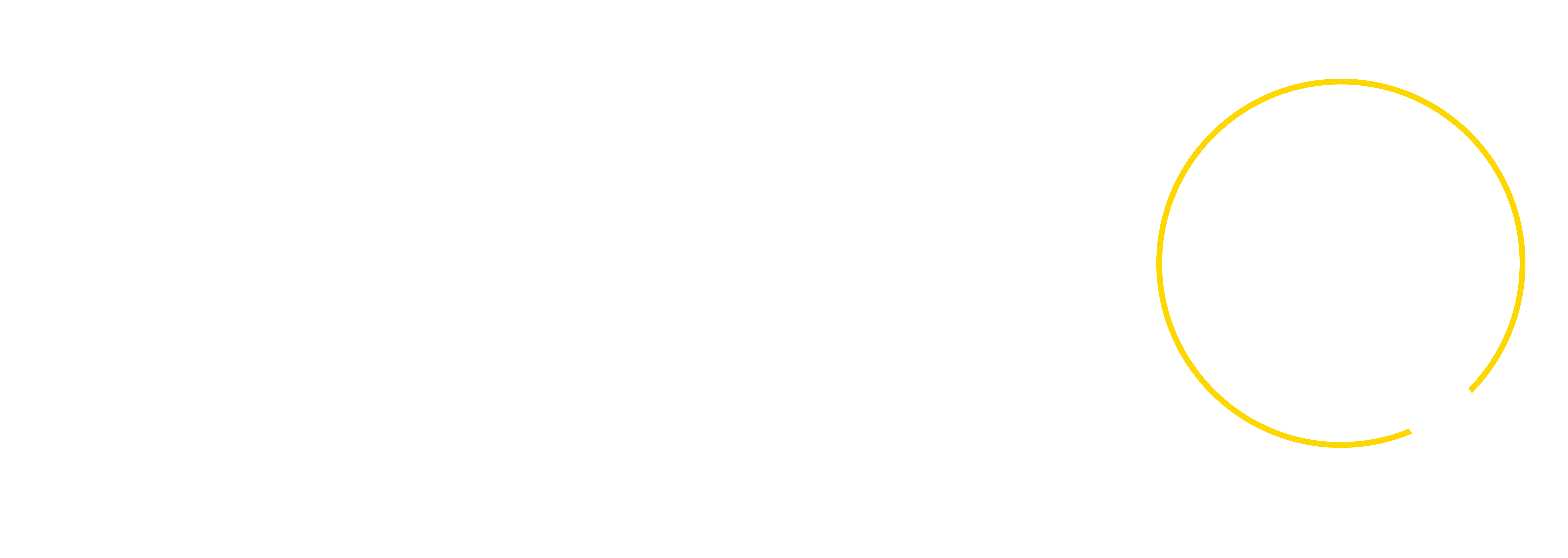 Niebex logo